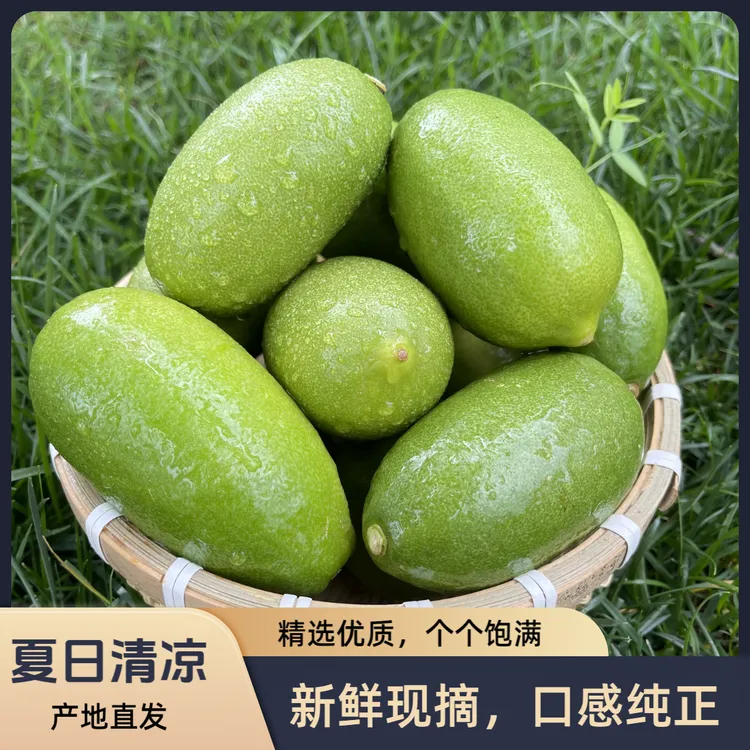 柠檬鲜果无籽香水柠檬夏日清凉鲜香多汁皮薄果园新鲜西双版纳批发