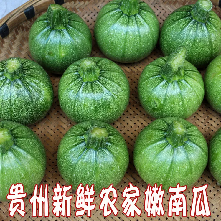 贵州当季新鲜现摘现发蔬菜小瓜嫩南瓜果煮素瓜豆农家种植炒包邮