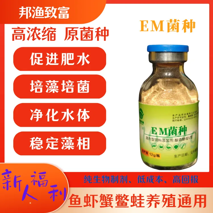 EM菌千亿原种水产养殖鱼虾螃蟹海参塘调水净水改底肥水培藻益生菌