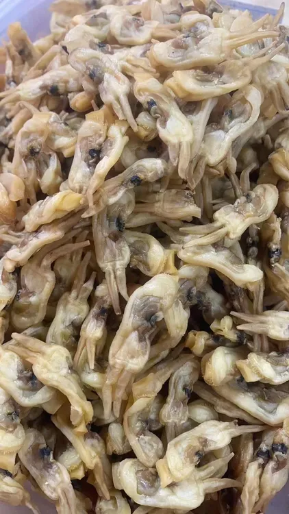 东山岛蛏干淡晒，蛏子干，海味干货，蛏干 蛏干段 蛏干碎