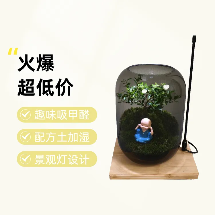 创意桌面微景观创意小和尚，带景观灯