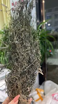 【唐总精选】晒干乌骨蛇舌草…………