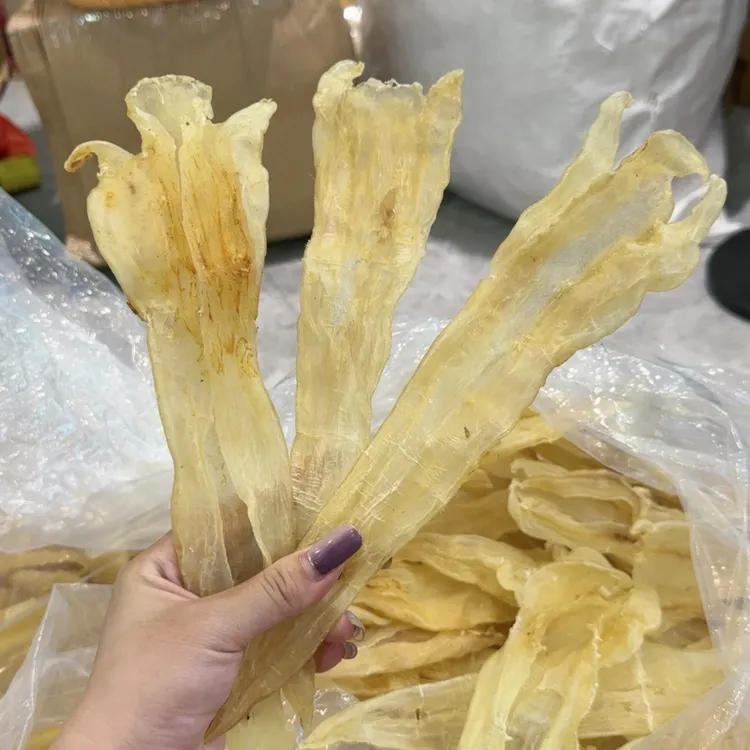 【唐总精选】 北海条     阴阳胶  鱼胶 滋补炖汤