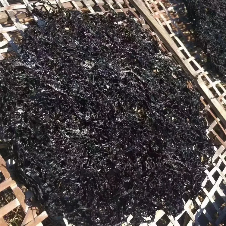 【唐总精选】 头水紫菜 脆脆鲜甜 吃法多多 煮汤炒饭煎蛋等等