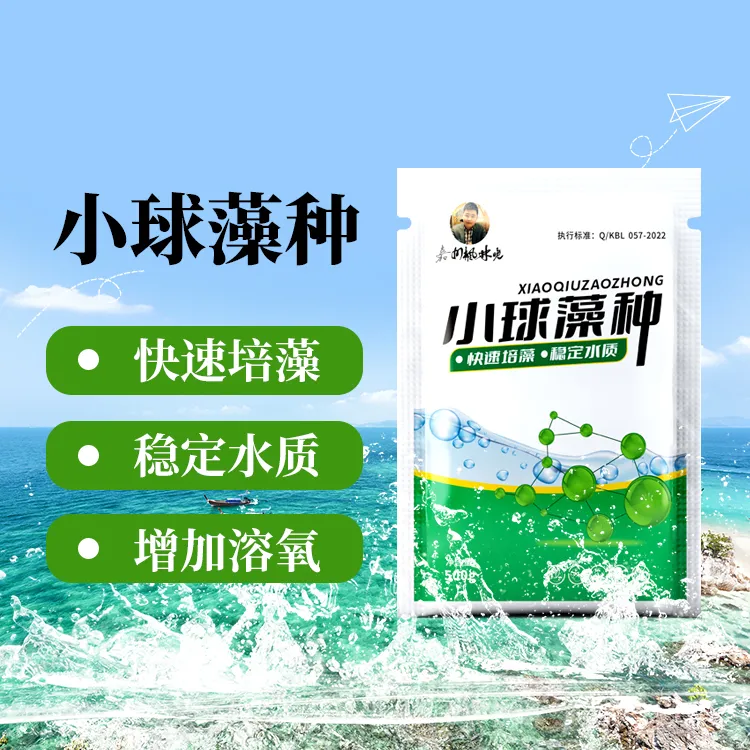 小球藻种黑坑使用培藻系列产品稀释粉剂天然稳定氨氮调水有机质