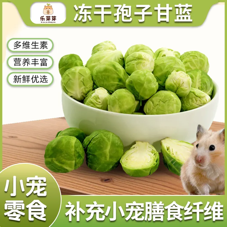 乐芽芽【孢子甘蓝冻干】仓鼠零食美味金丝熊兔子龙猫等小宠蔬菜冻干