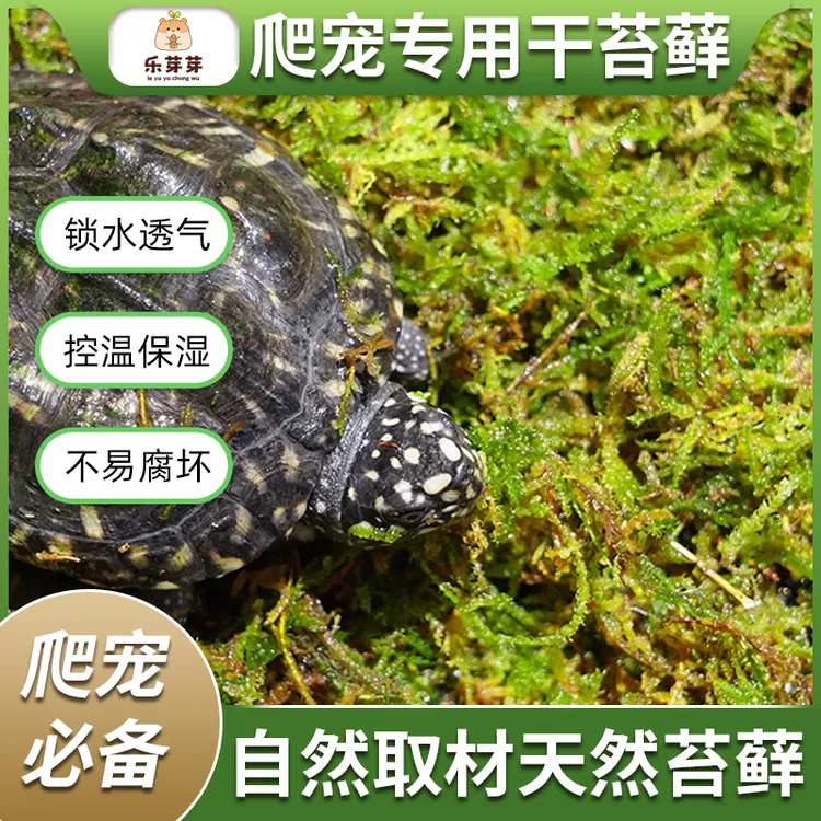 乐芽芽【干苔藓】乌龟冬眠椰糠土蜗牛蝎子角蛙陆龟过冬保暖爬宠垫材
