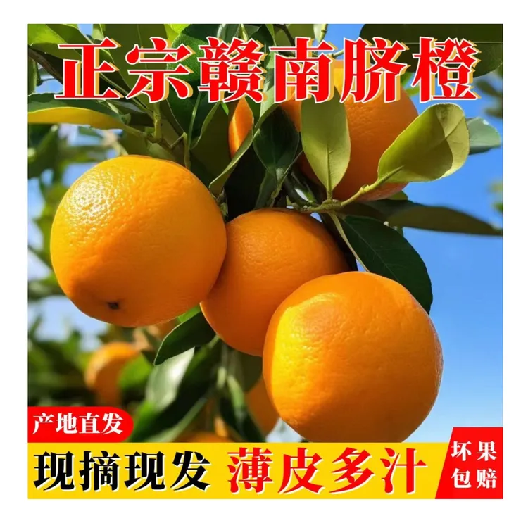 赣南脐橙10斤装多汁香甜脆爽果园发货