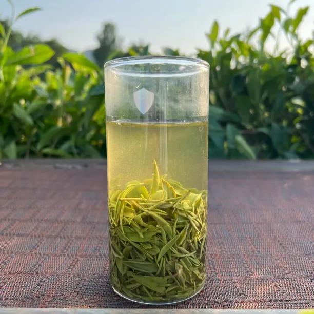 信阳毛尖2025新茶雨前茶一级茶叶浉河港镇大山春茶（美好生活茶）