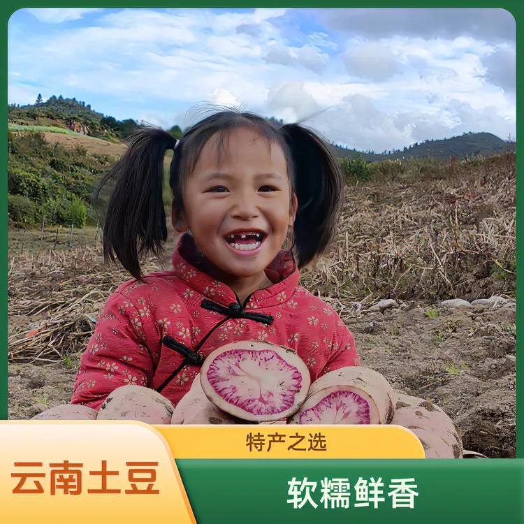 云南特产红皮花心洋芋七彩土豆（大中小果）软香糯新鲜