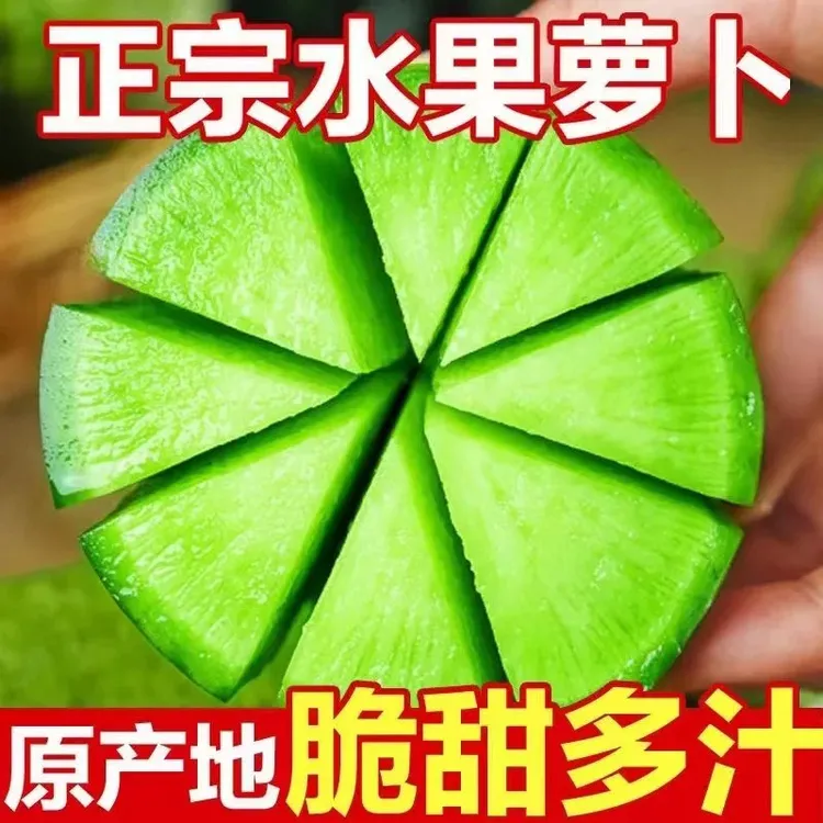 正宗山东水果萝卜脆甜多汁生吃微辣产地直发（4.5-5斤）