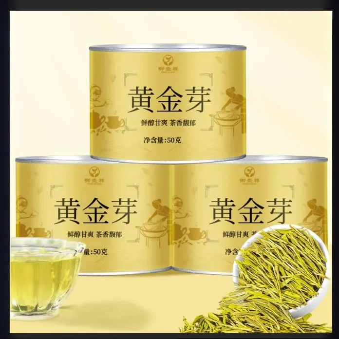 新茶黄金芽2025明前头春头采春茶新品高山绿茶浓香好茶鲜爽