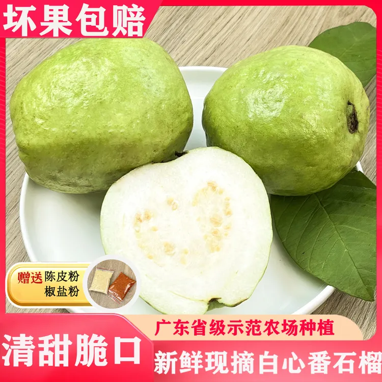 香脆白珍珠番石榴爽脆香甜特大果树上熟鲜低糖低脂现摘现发清甜果