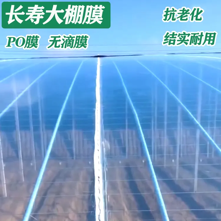 大棚塑料膜塑料布防水布塑料薄膜大棚膜农用薄膜透明阳光加厚批发
