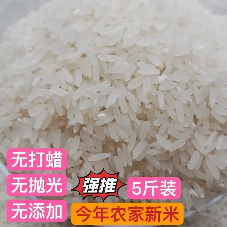农家自种品种大米无打蜡无抛光带胚芽新米优选5斤散装