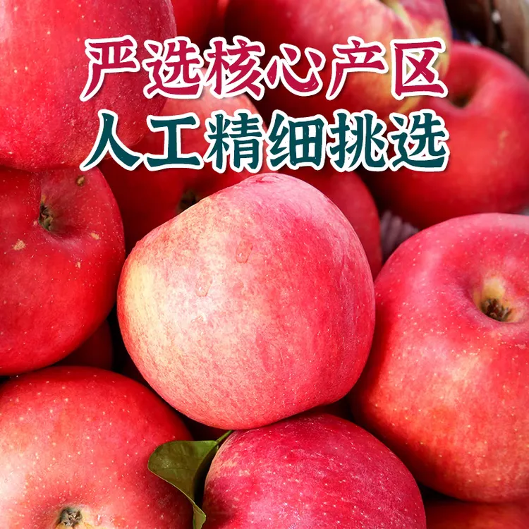 【冰糖心】阿克苏红富士苹果当季水果新鲜整箱新鲜苹果孕妇水果
