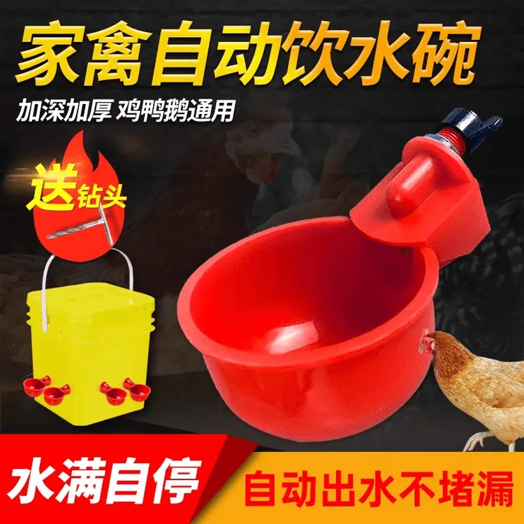 养鸡用自动饮水器鸡鸭鹅饮水碗喝水碗鹌鹑家禽鸟鸽子喂食神器y