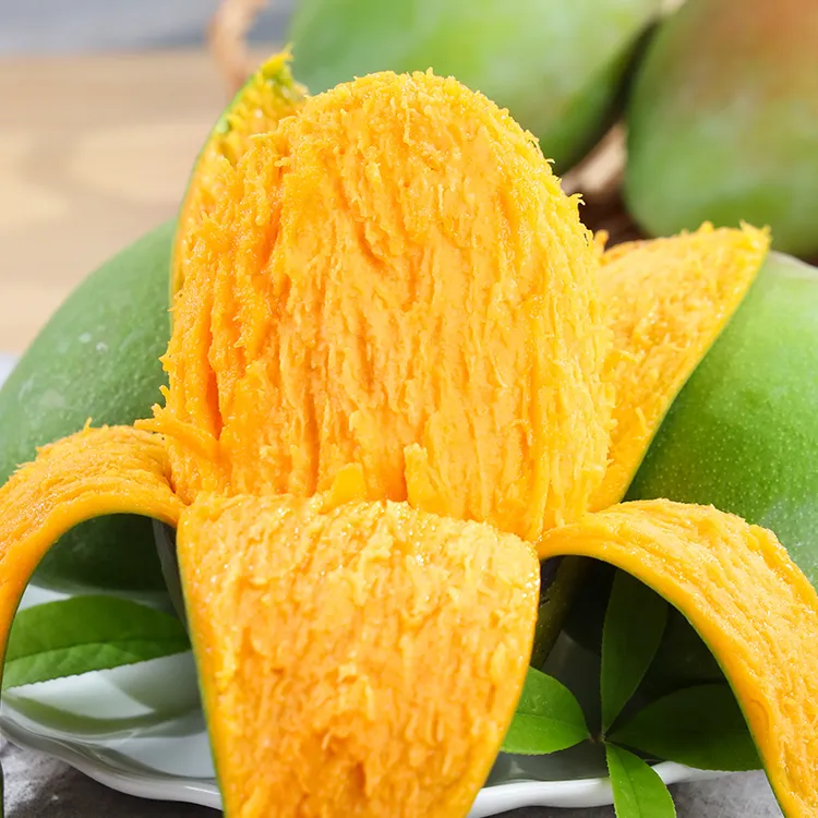 攀枝花凯特芒芒果现摘现发大芒果新鲜应季水果 放软食用