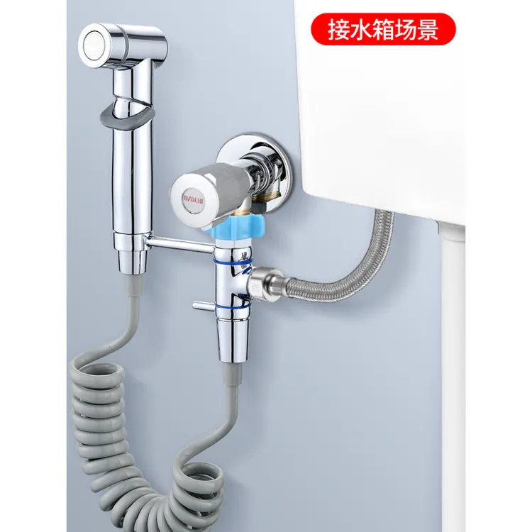 套装卫生间伴侣冲洗器妇洗器家用水枪增压喷头
