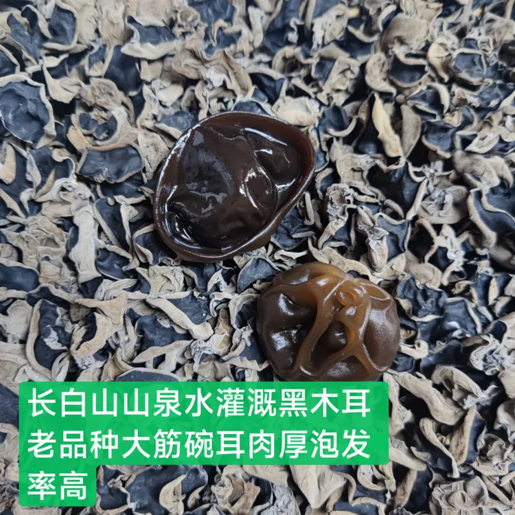 长白山黑木耳矿泉水灌溉老品种大筋小碗黑木耳食用特产