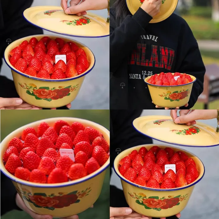 网红同款大红花搪瓷盆草莓水果蛋糕装饰复古趣味生日烘焙甜品配件