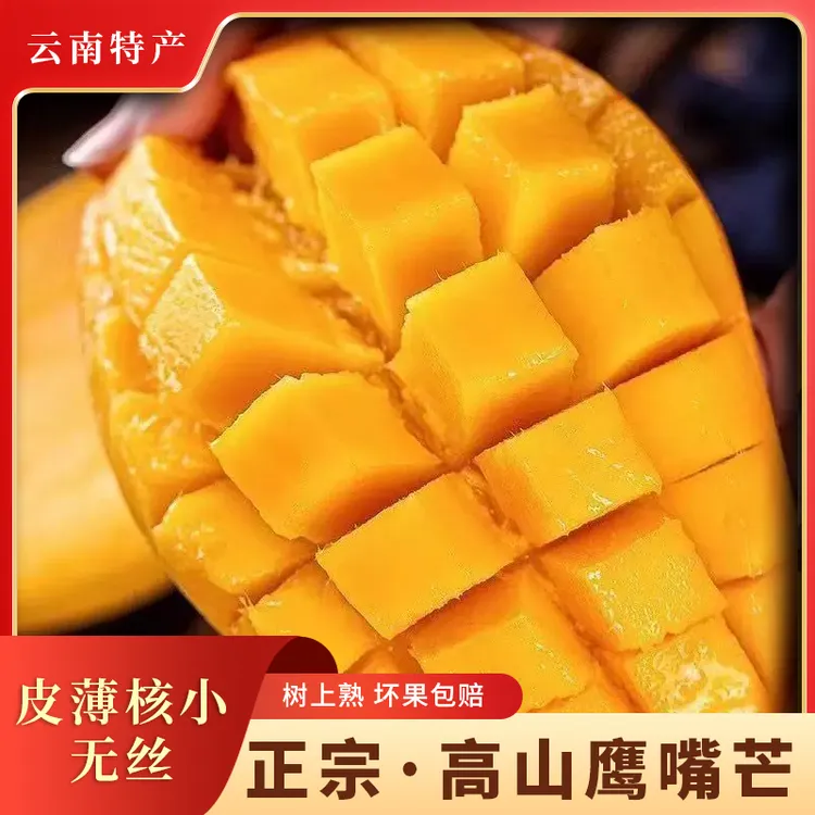 云南保山鹰嘴芒果24k当季水果自然成熟现摘现发不甜坏果烂果包赔