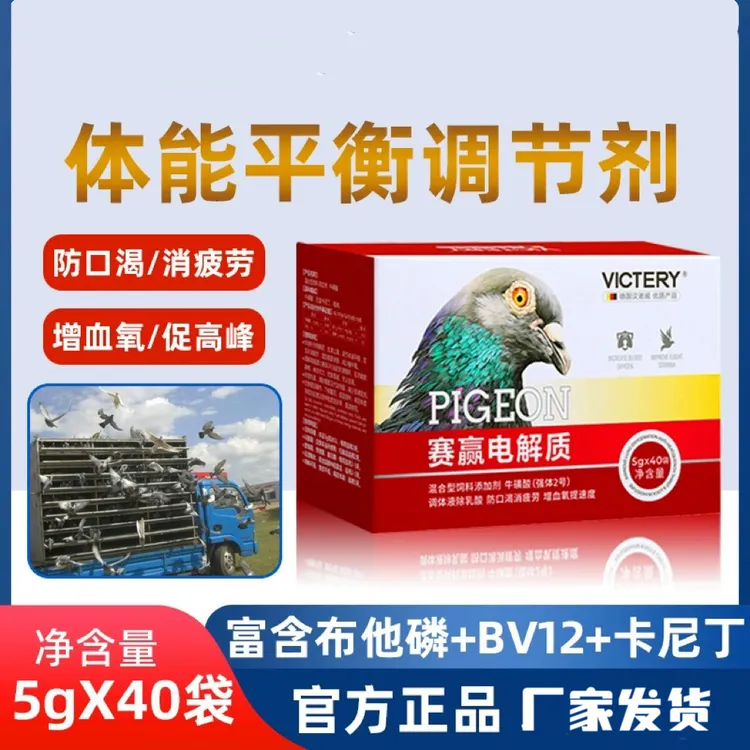 鸽用赛赢电解质多维赛鸽信鸽子比赛专用补充营养调理剂保健用品