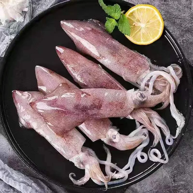 新鲜船冻笔管鱿鱼母管满籽满膏肉厚饱满口感鲜美商用包邮海兔子