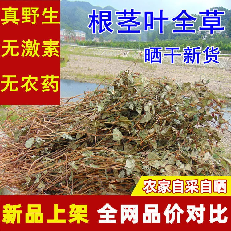野生鱼腥草整颗干货2025年自晒无硫折耳根清火下火煮水泡水中草药