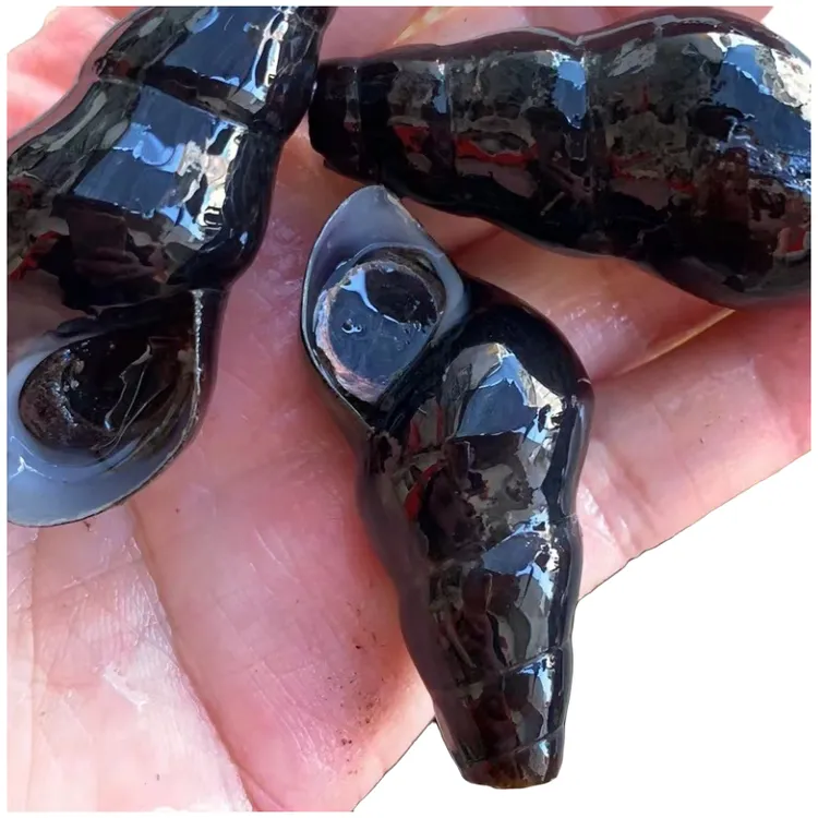 （高山螺）广东顺丰包邮阳江阳春特色山坑螺批发