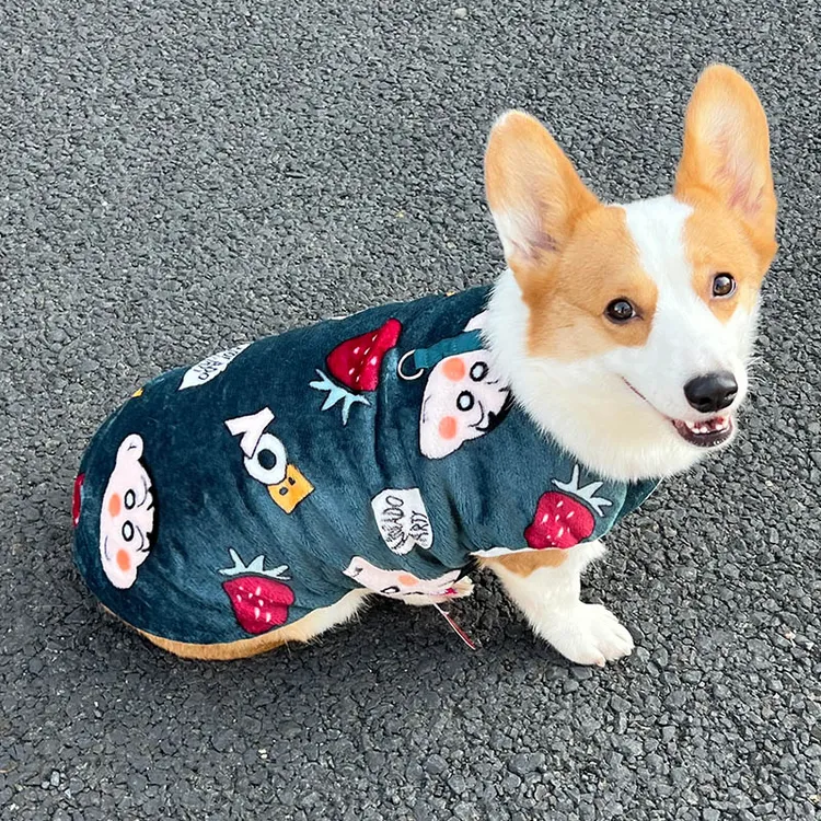 柯基狗狗衣服秋冬加厚保暖舒适可爱背心网红泰迪柴犬中小型犬猫咪