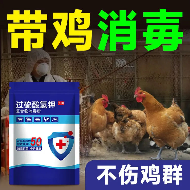 鸡圈鸡场消毒养殖场专用过硫酸氢钾养殖场鸡舍专无需清圈不伤鸡群