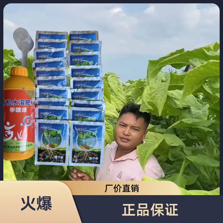 甲啧啧磷酸二氢钾套餐20桶水叶片厚油分足提质增产帮助落黄