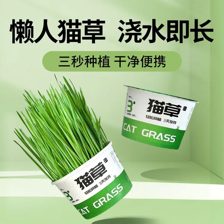 猫草盆栽小麦水培猫草种植懒人猫草罐头毛球片化毛草零食猫草种子