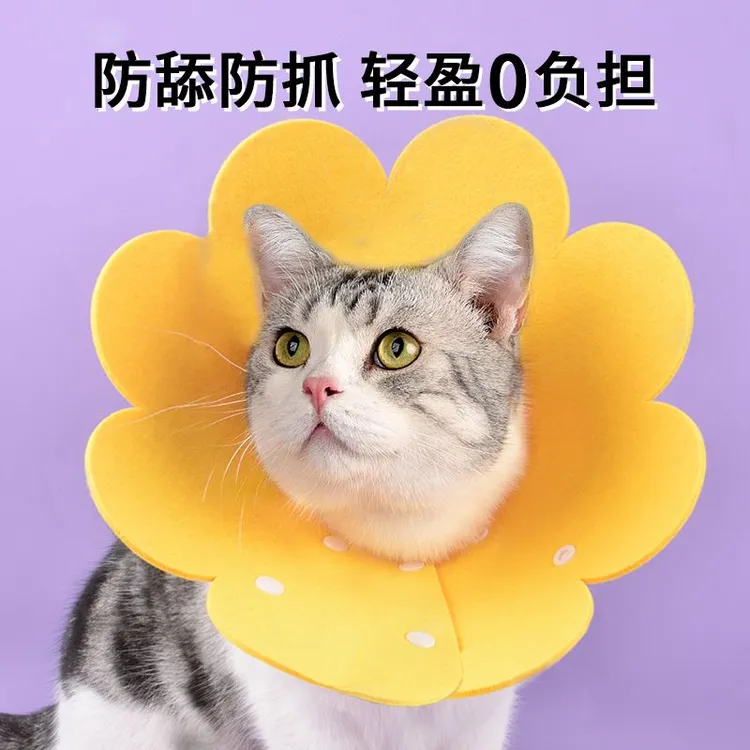 伊丽莎白圈猫咪绝育项圈伊利沙白圈防舔颈圈头套狗狗脖圈宠物用品