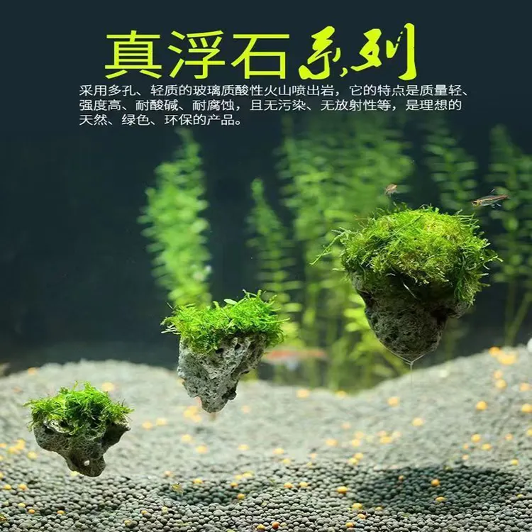 鱼缸悬浮造景鱼缸造景观赏鱼孔雀鱼小鱼观赏厂家直销小型家用莫斯