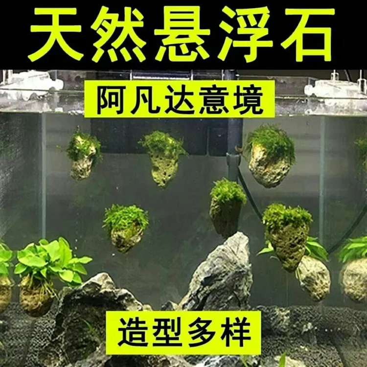 鱼缸浮石悬浮造景天然悬浮石造景真水草专业摆件浮石阿凡达造景石