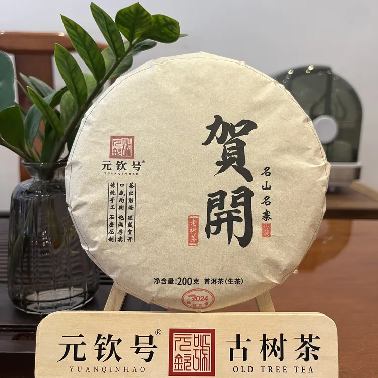 元钦号2024贺开古树春茶普洱生茶200克