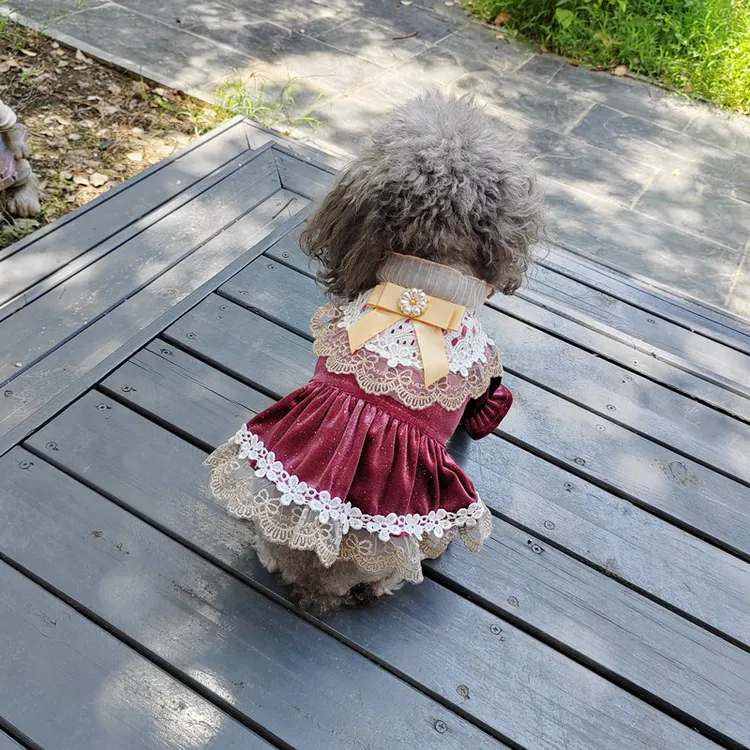 贵族风狗狗衣服春秋装宠物小型犬泰迪裙子蓬蓬纱公主季猫咪防掉毛