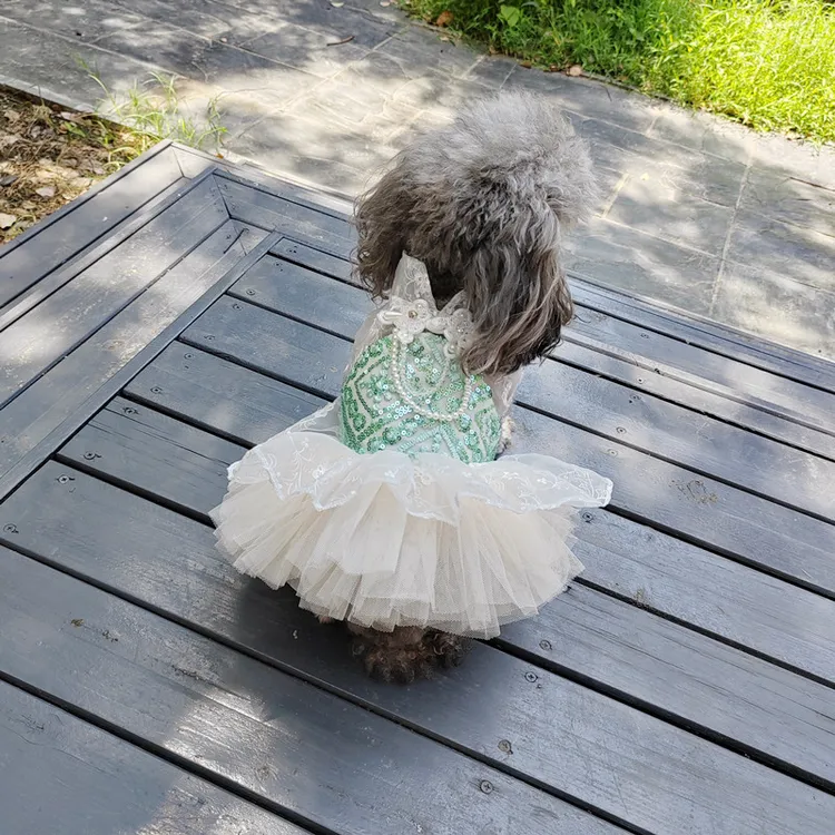 薄荷装狗狗衣服宠物小型犬猫咪秋冬季夏款公主泰迪博美防掉毛裙子