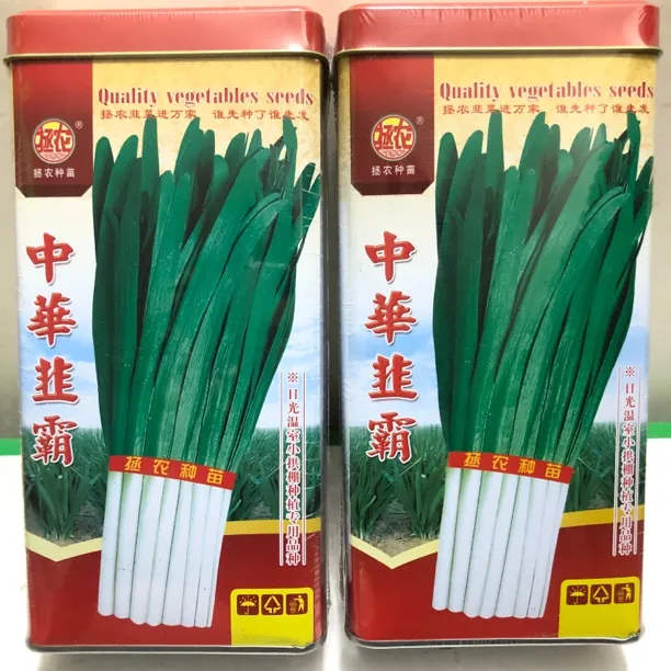 中华韭霸不休眠品种，高抗灰霉病，疫病，抗寒