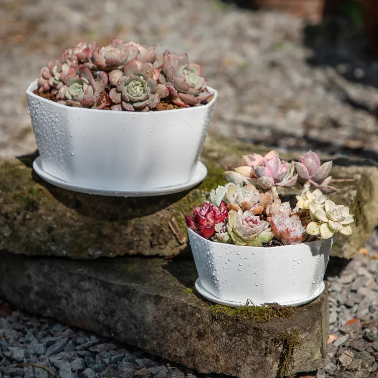 北欧树脂塑料盆绿植多肉花盆大口径拼盘绿萝盆室内室外仿陶瓷花盆