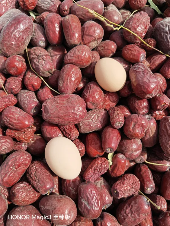 25年头茬新疆和田大枣新鲜未清洗特级红枣原生态吊干土枣荔枝