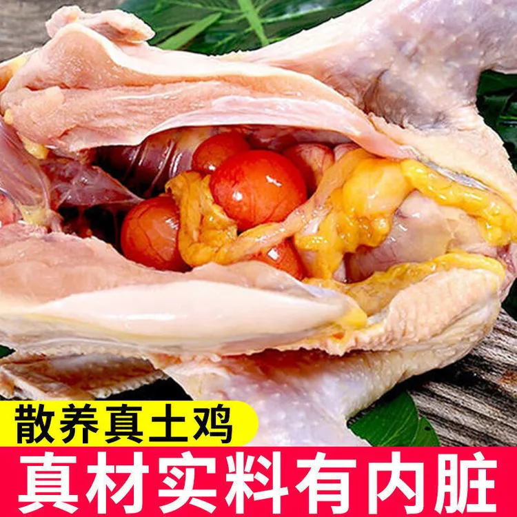【拍1发2】正宗散养黄油老母鸡土鸡溜达鸡2只净重4-4.5斤冷链包邮