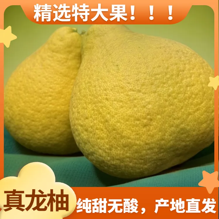 24年泸州合江应季新鲜真龙柚子白心纯甜原产地直发  ——  口感纯正