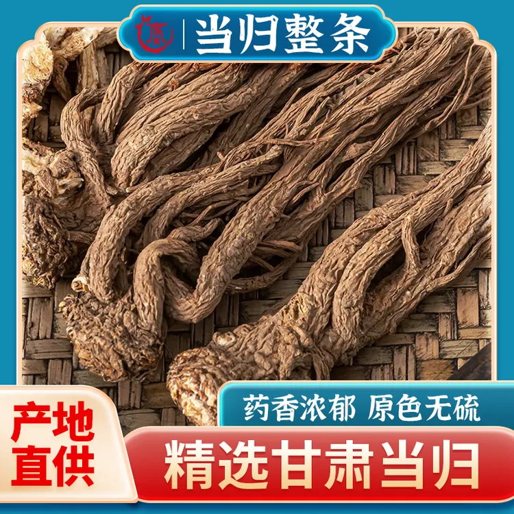 【当归整条】甘味道地高品质大山里高海拔当归