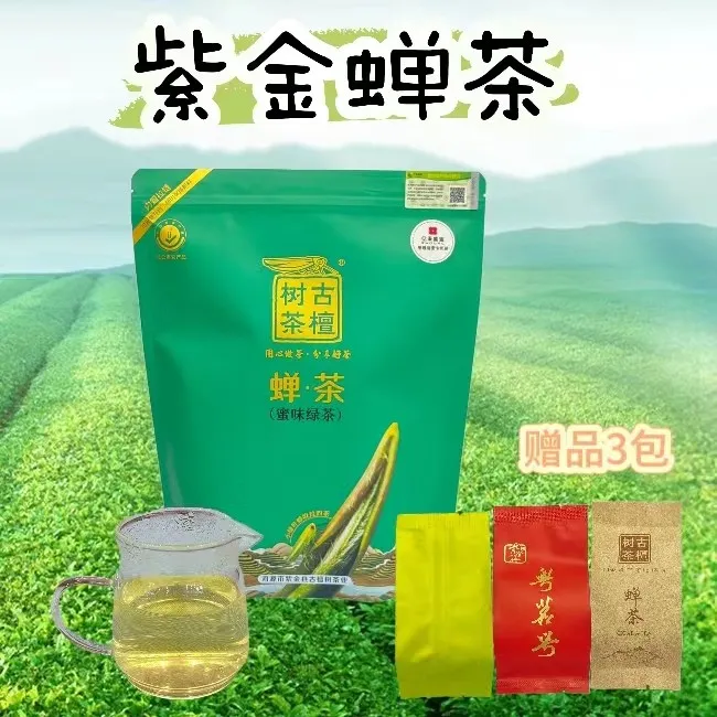 广东蝉茶虫咬蜜味禾黄茶紫金龙窝明前春茶绿茶河源客家农家茶