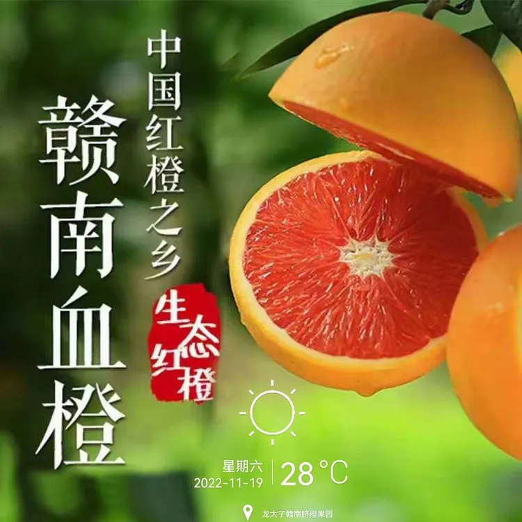 正宗赣南血橙含箱10斤装 安远血橙 稀有品种 赣南红肉脐橙