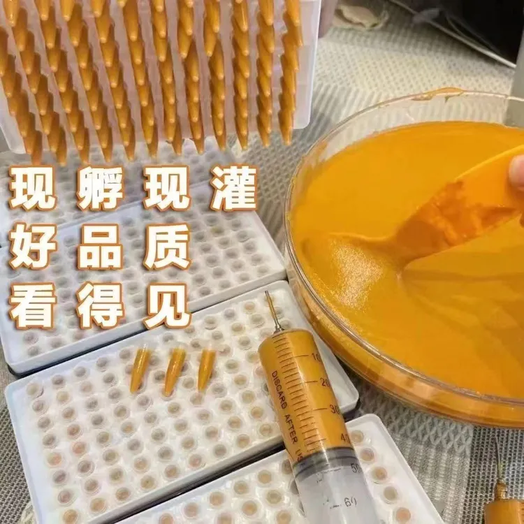 冰冻新鲜丰年虾幼虫鱼食孔雀鱼食迷你鹦鹉鱼开口饲料小型观赏鱼食