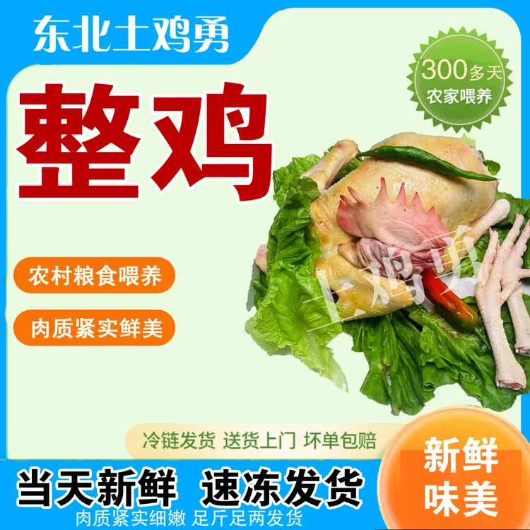 土公鸡整支（顺丰空运-不要改地址-下单不退坏损赔）